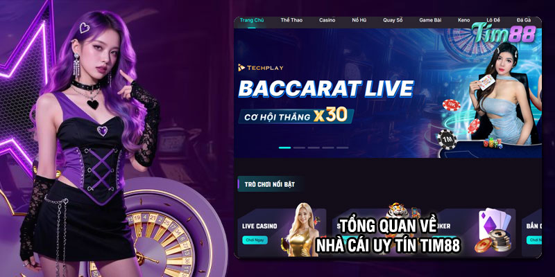 Tổng quan về nhà cái uy tín Tim88