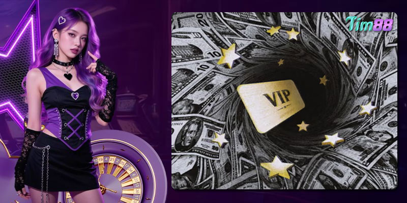 Có 3 cấp bậc tài khoản VIP Tim88